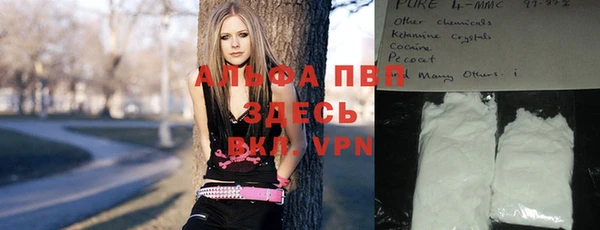 амф Коряжма