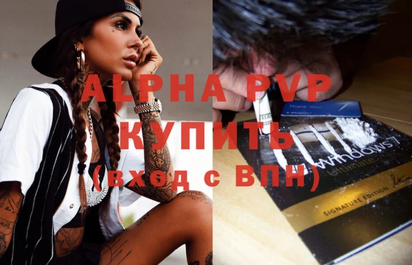 спиды Костерёво