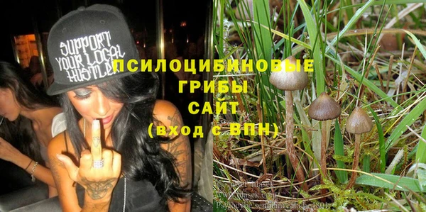 спиды Костерёво