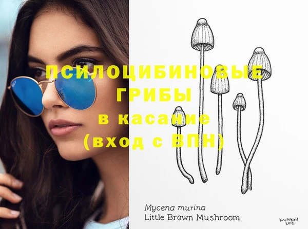 амф Коряжма