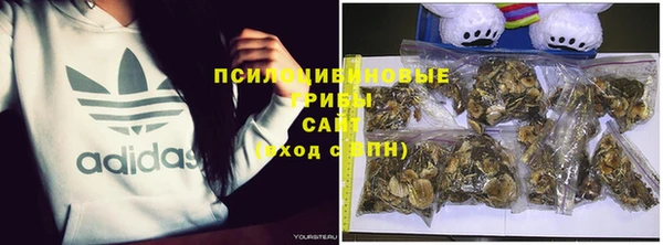 экстази Корсаков